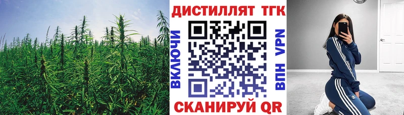 Дистиллят ТГК THC oil Темников