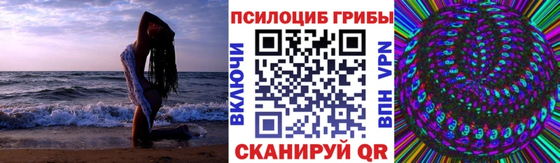 Галлюциногенные грибы Cubensis  Купить  Темников 